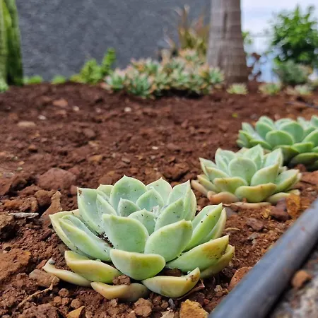 Casa de Férias Casa Clementine By Lovelystay *