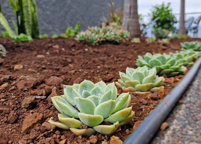 Casa vacanze Casa Clementine By Lovelystay *